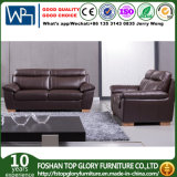 Modern Home Furniture Real Leather Sofa for Living Room (TG-S202)