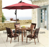Outdoor /Rattan / Garden / Patio / Hotel Furniture Rattan Chair &Table Set (HS1037C & HS7309DT)