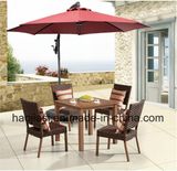 Outdoor /Rattan / Garden / Patio / Hotel Furniture Rattan Chair &Table Set (HS1037C & HS7309DT)