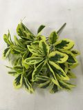 PE Yellow Schefflera Artificial Plant for Home Decoration (50102)