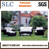 Wicker Sofa Set / Leisure Sofa/Patio Furniture (SC-B1004)