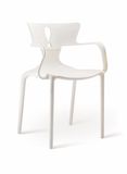 Rest Chair/Plastic Relax Chair for Garden