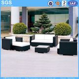Outdoor Furniture Patio Rattan Sofa Set for Wholesale