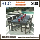 Outdoor Wicker Furniture/wicker furniture/dining furniture set (SC-B6023)
