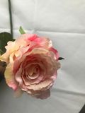 High Quality Real Touch Artificial Rose for Decoration Home in