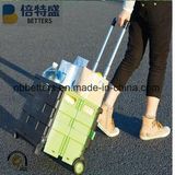 Easy Open and Folding Plastis Shopping Trolley Cart with 2 Wheels