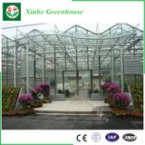 Venlo Type Glass Greenhouse for Vegetable and Flowers Growing