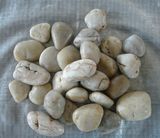 Landscape Cobble Stone/White Garden Pebble