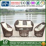Wicker Outdoor Furniture Sofa Set PE Rattan Sofa (TG-013)