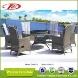 Hot Outdoor Garden Furniture Dining Set (DH-6113)