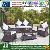 Foshan Furniture All Weather Furniture Outdoor Garden Sofa Design (TG-1507)