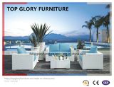 Latest White Wicker Rattan Outdoor Garden Sofa Set (TG-028)