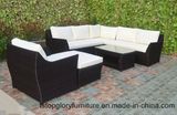 2018 New Design Outdoor Aluminum Wicker Rattan Sofa Set (TG-S208)