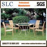 Modern Table and Chairs for Garden/ Rattan Furniture Dining Table (SC-B1011)