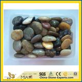 Multicolor White/Black/Grey/Red/Gray Cobblestone for Landscaping/Paving/Garden/Yard/Indoor/Decoration/Outside/Patio/ Driveway/Pathway/Flooring/Paver/Landscape
