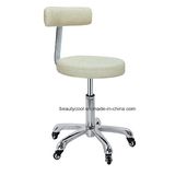 Professional Salon Round Rolling Stool