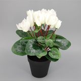 Home Decoration Artificial Flower Cyclamen