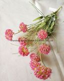 Ten Heads Wild Artificial Flowers for Home Decoration
