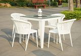 Outdoor Garden White Rattan Dining Table and Chairs (DS-06012W)