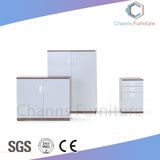 China Furniture Two Doors Office Wooden Cabinet (CAS-FC1802)