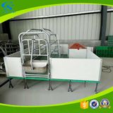 PVC Board Farrowing Pig Crate Sow Bed