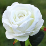 Artificial Single Rose for Wedding Decor