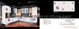 Modular Kitchen Cabinet of UV High Glossy Color Painting Board (ZH-C832)