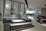 Modern Living Room Genuine Leather Sofa (SBL-9205)