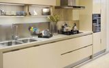 Lacquer Modern Wood Kitchen Cabinet with Painting Door (zz-007)