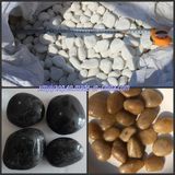 Pebble/River Stone for Garden Landscape (YY-Black/Yellow/White Color)