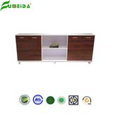Modern Design Wooden File Office Storage Cabinet (AC22-2400)