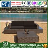 Garden Hotel Sofa PE Rattan Sofa with Coffee Table (TG-JW03)