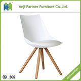 Plastic Cover Wood Base Home Use Furniture Leisure Chair (Bullace)