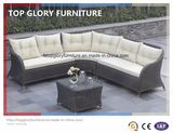 Garden Patio Outdoor PE Rattan Sofa Sets (TG-044)