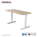 Professional Height Adjustable Training Table up
