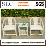 Hot Sale Outdoor Synthetic Wicker Rattan Furniture (SC-B8958)