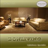 Living Room Genuine Leather Sofa (A10)