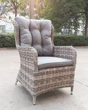 Patio Outdoor Hotel Home Office Morden Garden Rattan Leisure Dining Chair (J5881-ROB)