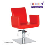 New Design Hydraulic Hair Salon Styling Chair (DN. R1012)