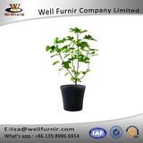 Well Furnir T-007 Durable, Weather-Resistant Open Round Design Smart Wheels Rattan Flowerpot