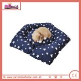 Pentagram Pet Bed in Black