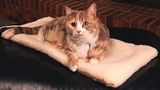 Hot Selling Flexible Heated Pet Bed