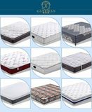 Welcomed Pillow Top with High Density Foam and Spring Inside mattress