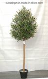 Olive Artificial Tree Potted for Home Decoration (45851)