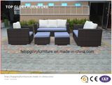 Modern Garden Furniture Wicker/Rattan Sofa (TG-7001)