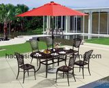 Outdoor /Rattan / Garden / Patio/ Hotel Furniture Cast Aluminum Chair & Table Set (HS 3181C&HS6130DT)