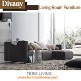Modern New Design Fabric Combination Sofa