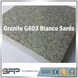 Polished/Flamed Floor Tile Stair Grey Granite Stone for Projects