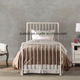 Antique Metal Single Bed Bedroom Bed (OL17220)