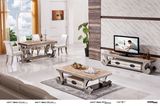 Home Furnitue Fashion Coffee Table